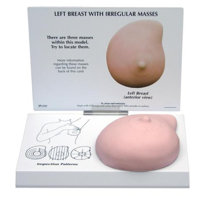 Model ľavého prsníka s nepravidelnou hmotnosťou