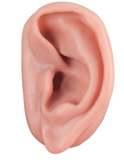 Akupunktúra ucha, ľavého