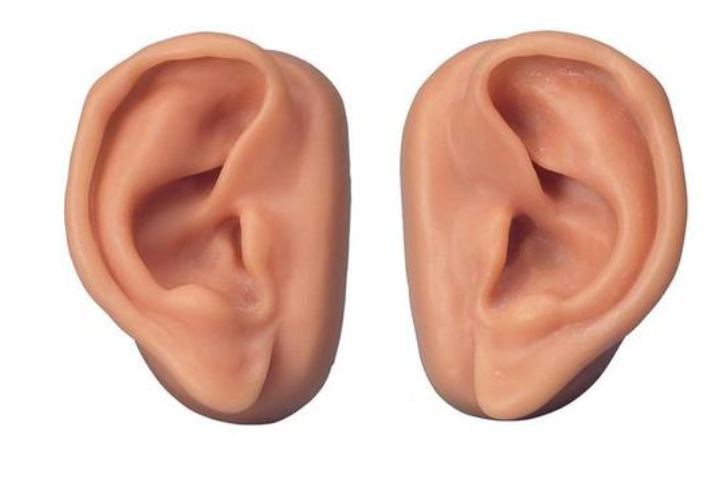 Akupunktúrne uši, sada pre 10 študentov